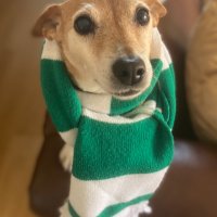 DaveBurnell (@davewburnell) 's Twitter Profile