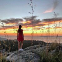 Roxana Torres (@roxitator) 's Twitter Profile
