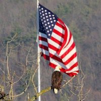 MaryFlynnONeill (@maryflynnoneil1) 's Twitter Profile Photo MaryFlynnONeill (@maryflynnoneil1) 's Twitter Profile Photo