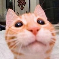 zetta (@zetta910) 's Twitter Profile
