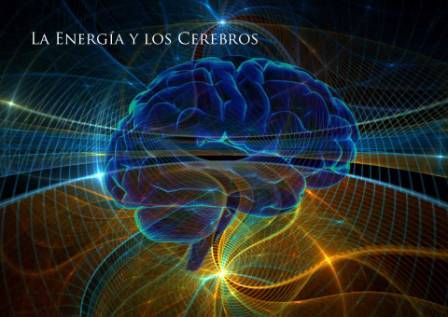 Curso para ampliar la comprensión acerca de quiénes somos y manejar los tres sistemas cerebrales para que podamos conducirnos en favor de la paz