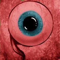 FoxeyeHunter (@foxeyehunter) 's Twitter Profile