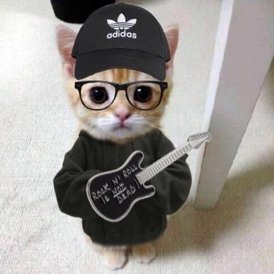 0909_trzs2's profile picture. 🫳🐨