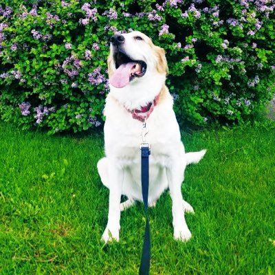 chrisgralph's profile picture. Theatre maker . Professor . Artistic Director - the Acting Company . Movie Lover . Sandwich Maker