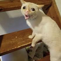 bababewy's profile picture. 