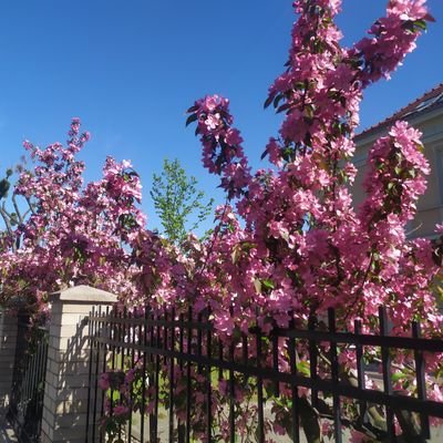 nj_jnn's profile picture. 