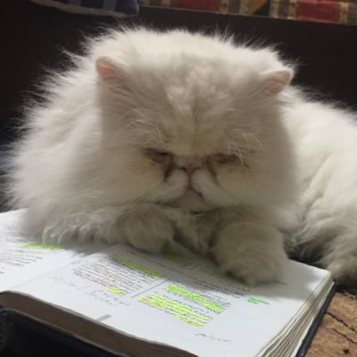 asakarton's profile picture. من ساده بودم‌ و او سرکه نمکی دوست داشت