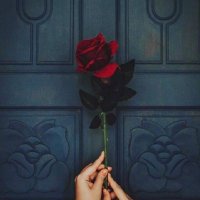 Esraa elfiky (@asra_alfqy) Twitter profile photo