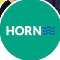 Horn Team Real Estate(@hornrealestate) 's Twitter Profile Photo
