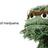 qwikster4_20's profile image