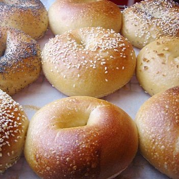 Irlylikebagels's profile picture. High schooler, likes bagels. He/Him.