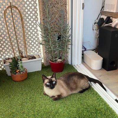 JuliaDiazExpos1's profile picture. 