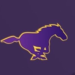 HsBurges's profile picture. IOB