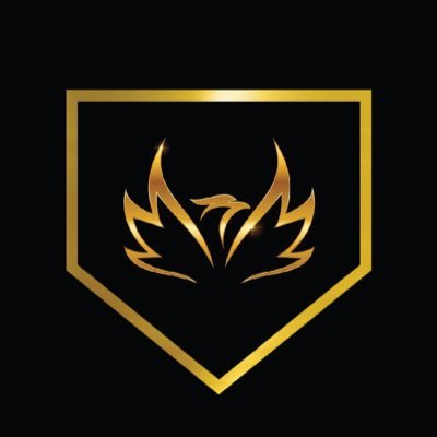 Phoenix Baseball Profile