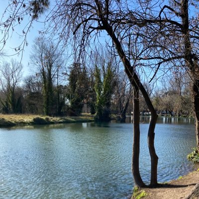 Mamá de dos. Abogada. Fotógrafa en mis ratos libres. Bostera 💙💛💙 “Seamos libres, lo demás no importa nada”