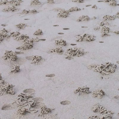 Société de biotechnologie créée par le Dr Franck Zal, auteur de « Un trésor sous le sable » aux éditions @les_arenes