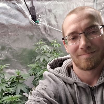 Home grower of Cannabis High quality Indica Mars Hydro 2'x4'x6' Mars Hydro TSL-2000 Vivosun 6in 440 CFM Duct fan Vivosun 6in Carbon filter GreenPlanet nutrients