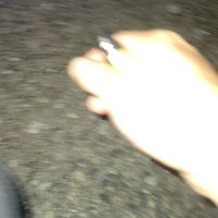 釣犬 (@tsuri_dog) 's Twitter Profile