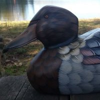 Quackers The Writing Duck (@quackersmyduck) 's Twitter Profile