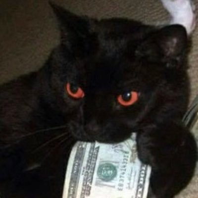 lustzy2x's profile picture. main - @lustzy1x