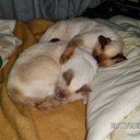 Daniel Adrián Berenstein - @DanielAdrinBer1 - Twitter