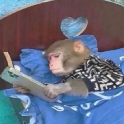 laurenismean's profile picture. i am very dumb 😃