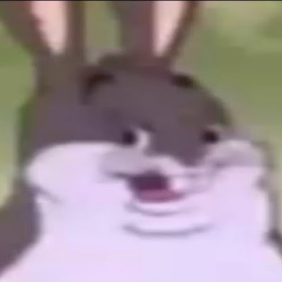 TurtleTree123's profile picture. i like turtles