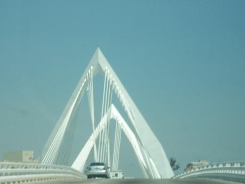 pedro_flores09's profile picture. 