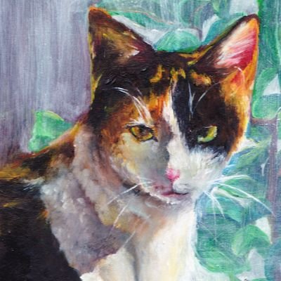 のあさんのプロフィール画像