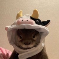 hyperz (@hyperz) 's Twitter Profile