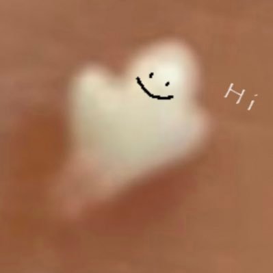 km__gyu's profile picture. いぬとごはん|トイプー×マルチーズ🐶こむぎ🎀（2022.2.5生）