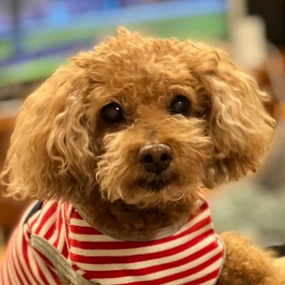 hiro太郎さんのプロフィール画像