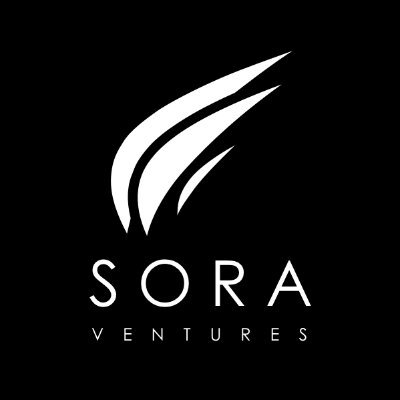 Sora Ventures is an Asia-based investment firm focused on blockchain technology and digital currencies.