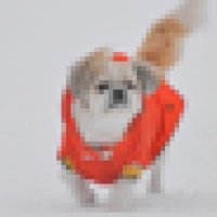 ごとうはやと (@hg) 's Twitter Profile