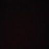 courgetteblossm's profile picture. 