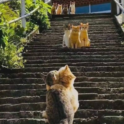 GZLovren's profile picture. 不是麦片哥，视频图片都没有出处