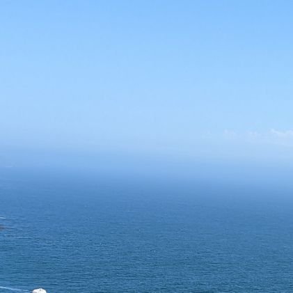 pmajluf's profile picture. 