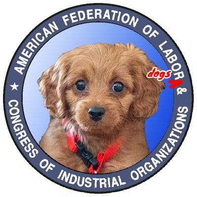 Jack for an Assembly of Class Konflict, Congress of Industrial Organizations. I'm Jack. You're Assembly.I'm a dog so the K works.

Class war and cute stuff🍖🛠