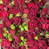 M (@m71166183m) Twitter profile photo