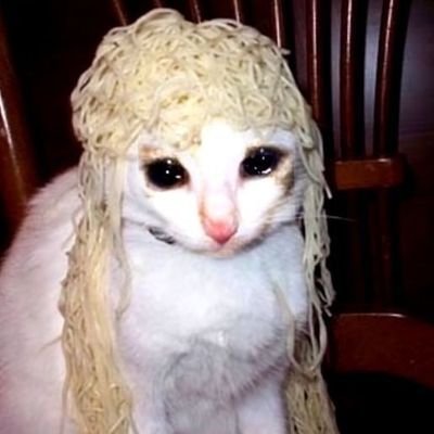 Gato68047824's profile picture. me gustan los gatos, miau
      🌕  *    .     🌍    *      *    . ☄️
    •    *     •   .     .    .  🪐      .      *    ✨ *   💫      *    .       •    *   .