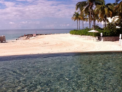 vhsullivan501's profile picture. 