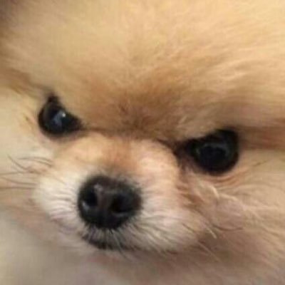 NpswUem's profile picture. เรา:ลายนี้น่ารักไหม ไอ้ต้าว:น่ารักสู้คนให้ไม่ได้อะ🥺 TU 81 DTMU54