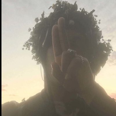 givemecapita's profile picture. Alyv