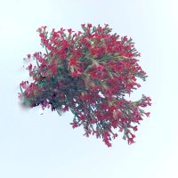 AyeChan (@ayechan17830527) 's Twitter Profile