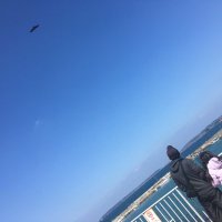 新田稔 (@through0804) 's Twitter Profile