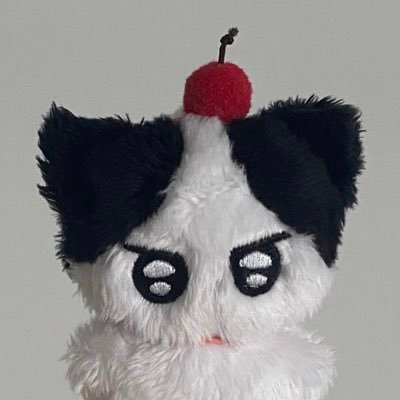 애기 냥이사