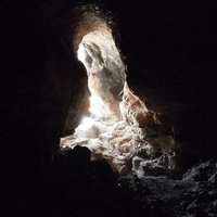 HCElab (@labhce) 's Twitter Profile Photo