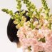 Late Bloomer (@latebloomer323) Twitter profile photo Late Bloomer (@latebloomer323) Twitter profile photo