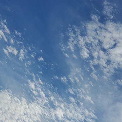 fuyu_ki84's profile picture. 