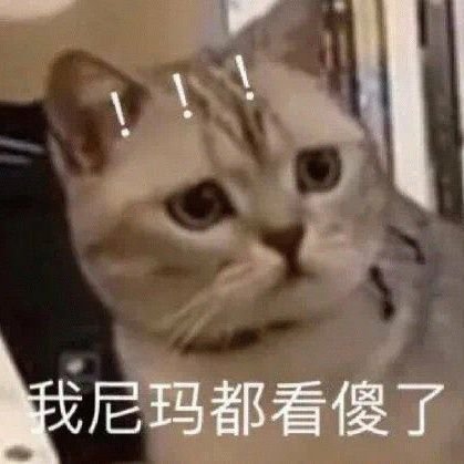 Jiang Lanjing台湾贱畜主子さんのプロフィール画像